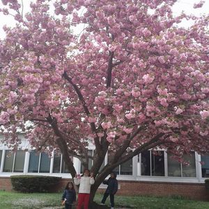 Meet your Posher, Flor